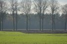 Molenbroek 12.2013