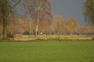 Molenbroek 12.2013